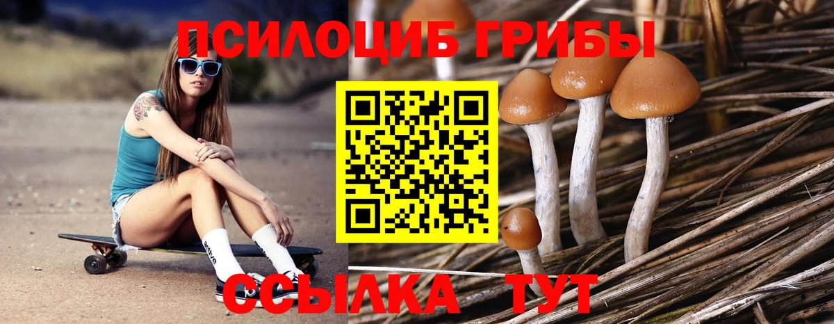 Псилоцибиновые грибы мицелий  Вход с VPN  Рыбинск  Псилоцибиновые грибы GOLDEN TEACHER 