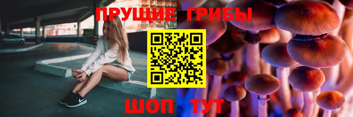 Галлюциногенные грибы MAGIC MUSHROOMS Рыбинск